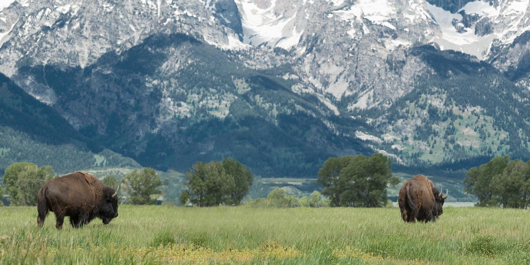 Countryside in Montana, USA Countryside in Montana, USA